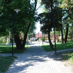 SS4